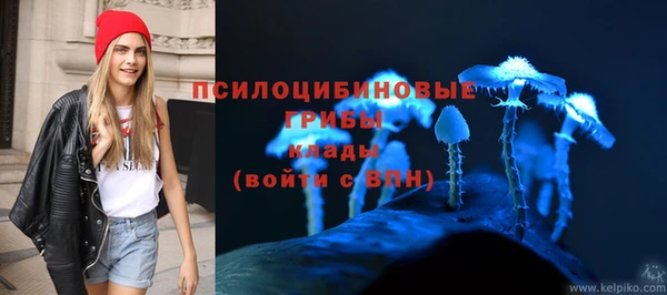 спиды Беломорск