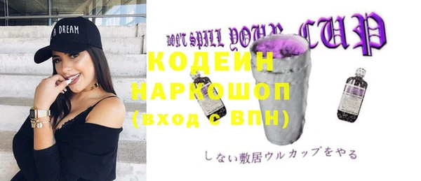 дживик Богородицк