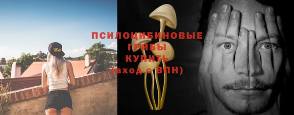 дживик Богородицк