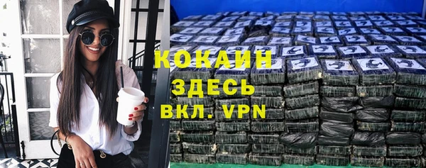 дживик Богородицк
