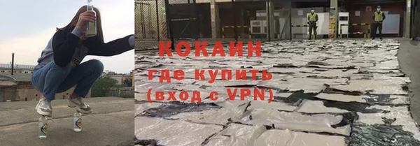 дживик Богородицк