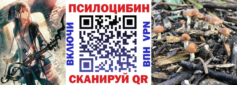 Псилоцибиновые грибы MAGIC MUSHROOMS где можно купить мориарти клад Павловск