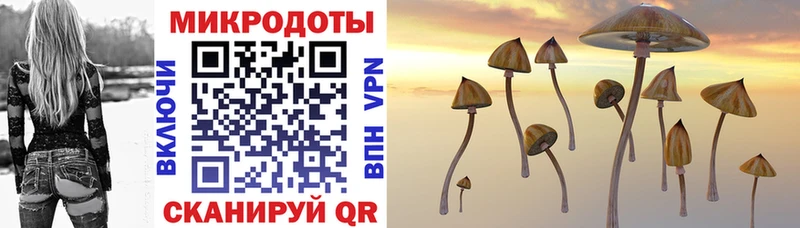 Галлюциногенные грибы Magic Shrooms Павловск